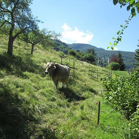 B&B Am Bueel Sevelen Εξωτερικό φωτογραφία